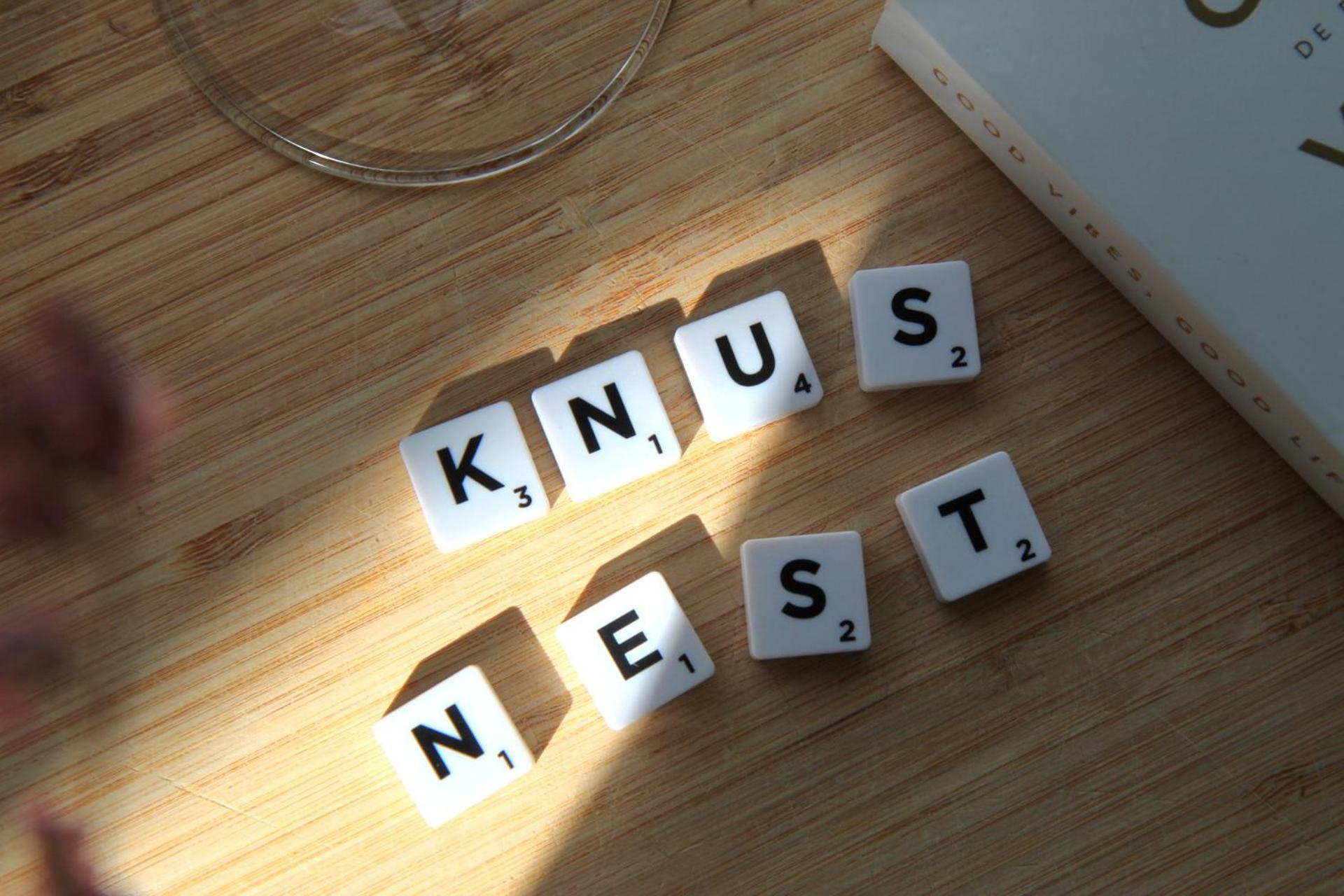 Buitenverblijf Nest Arnheim Exterior foto